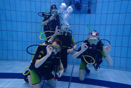 Delfinek Scuba