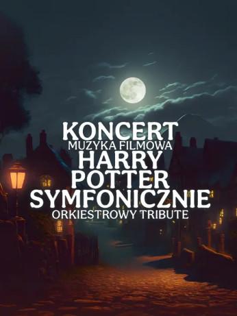 Bielsko-Biała Wydarzenie Koncert Koncert Muzyka Filmowa Harry Potter Symfonicznie orchestral tribute